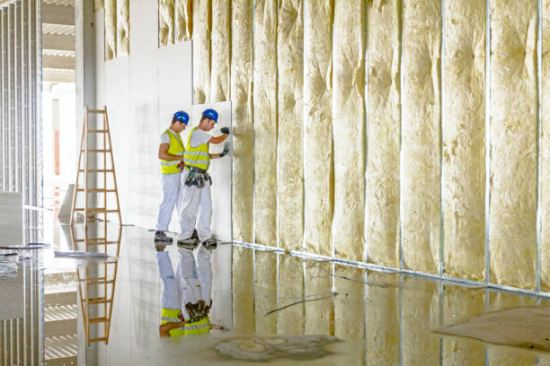 Best Insulation Maintenance and Repair in Mount Rainier, MD